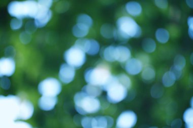 Yumuşak yeşil renkler ve ruhani bir titreşim için parlayan güneş lekeleri içeren rüya gibi bir fon.