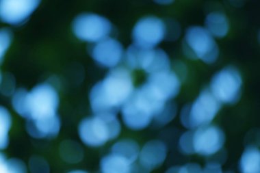 Aqua bokeh şelalesi, bulanık yeşil derinlikte rüya gibi bir görüntü, soyut güzellik.