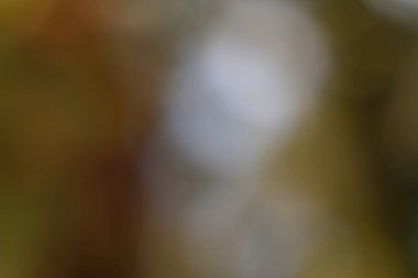 Sessiz renklere sahip soyut sakinleştirme arka planı ve hafif görsel ilgi eklemek için mükemmel odaklanma