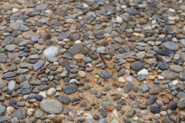 Kumda çakıl taşları desenli bir zemin yaratır, doğal bir desen, toprak tonlarıyla.