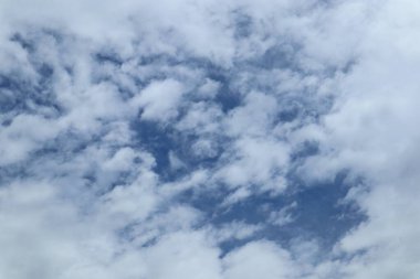 Yumuşak stratocumulus bulutları sakin mavi bir gökyüzünde süzülür.