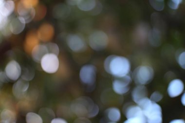 Rüya gibi bokeh ışıkları, sessiz doğal renklerle birleşerek, huzurlu ve büyülü bir atmosfer yaratıyor.