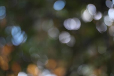 Soyut bir ışık bataklığı hayali, mistik ve ruhani bir zemin oluşturur.