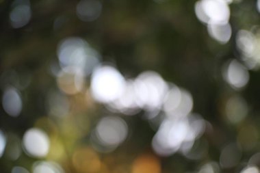 Yumuşak bir ışık ile hayali bir bokeh doğa arka planı, ruhani ve büyüleyici bir sahne oluşturur