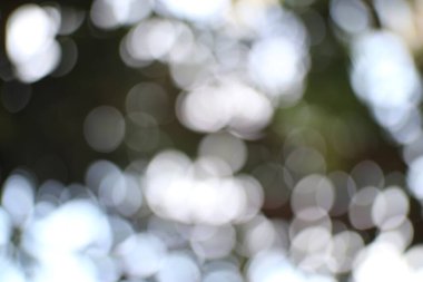 Rüyalardaki gibi bulanık doğa arkaplanı yumuşak parlak bokeh ve ışık çemberleriyle