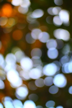 Soyut ışıklar rüya gibi doğal, sanatsal ve görsel olarak çarpıcı bir sahnede bokeh etkisi yaratır.