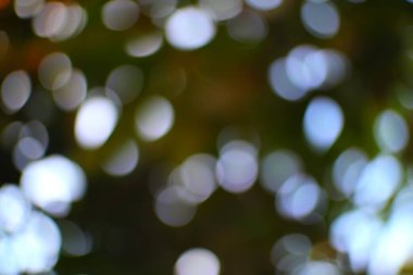 Filtrelenmiş güneş ışığı hayali ve büyülü soyut bir ışık efekti yaratır.