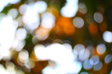 Yumuşak, rüya gibi bokeh desenli organik renkler barışçıl bir soyut sahne yaratıyor.