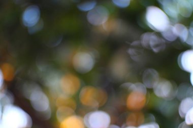 Yaprakların arasından süzülen, bulanık ve rahatlatıcı doğal estetik bir güneş ışığı bulutu.