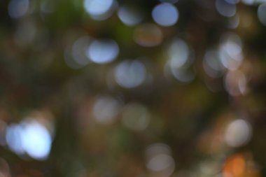 Ağaç yapraklarının arasından süzülen dağınık güneş ışığının soyut bokeh 'i, bulanık arka plan.