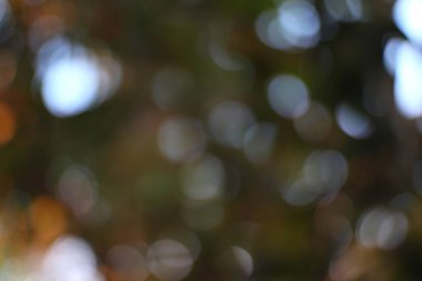 Yumuşak sonbahar bokeh parlak, bulanık, büyüleyici ışıltılı, ruhani bir zemin oluşturur.