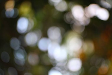 Soyut bokeh ışıkları bulanık ve sanatsal efektli yumuşak sonbahar tonlarını gösteren rüya gibi bir arka plan sunar.