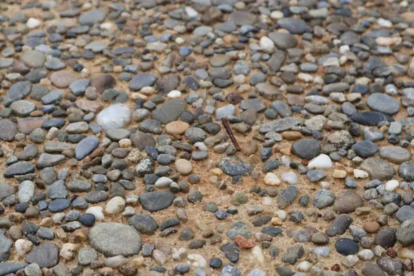 Kumda çakıl taşları desenli bir zemin yaratır, doğal bir desen, toprak tonlarıyla.
