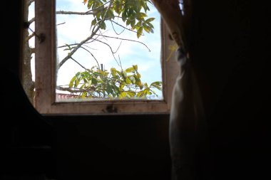 Yumuşak bir ışıkla kırsal bir pencereden görünen sakin yeşillik ve gökyüzü manzarası