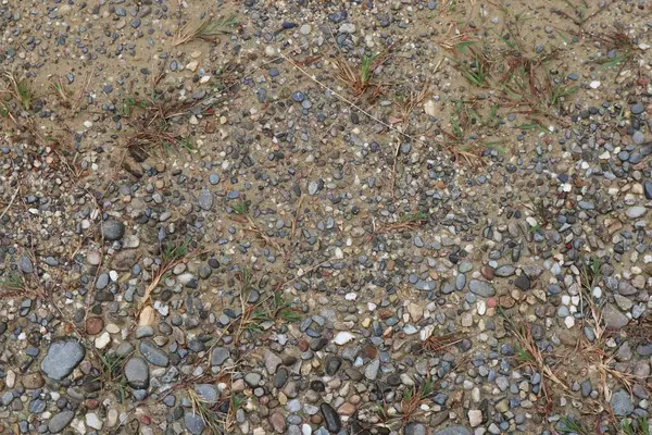 Manzara gösterileri çakıl taşları, kum ve seyrek bitki örtüsü yayılmış doğal ışık altında toprak dokusunu verir.