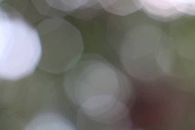 İlahi ışık küreleri yumuşak, rüya gibi bir atmosferde organik renkleri harmanlarlar.