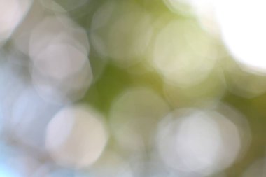 Rüyalarımın yumuşak odak zemininde ruhani bokeh ışıkları ve narin renkler var.