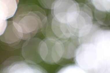 Ruhsal ışık, doğal bir şekilde dans ediyor, yumuşak bir odak noktası, dingin yeşil tonlarda.