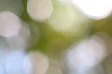 Hayali, yumuşak bir bokeh arka planı, ruhani, canlı, organik bir hissi var.