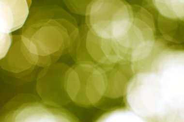 Soyut zeytin yeşili Bokeh ışıkları yumuşak ve tuhaf bir etki yaratır.