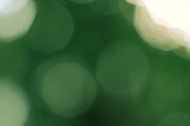 Yoğun yemyeşil, sakin ve soyut bir bokeh arkaplanı çağrıştırıyor.