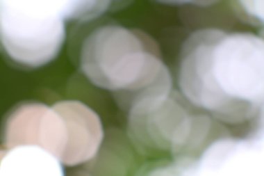 Rüya gibi ve soyut ışık bokeh ve yaprak dokusu yumuşak bir zemin oluşturuyor.