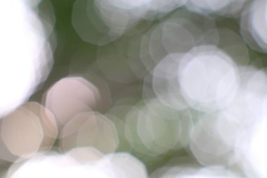 Yumuşak, parıldayan bokeh ışıkları rüya gibi ve soyut bir doğayla