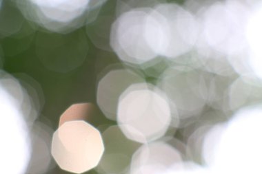 Yumuşak parlak ışıkları ve yumuşak yeşil renkleri olan rüya gibi soyut bir arka plan.