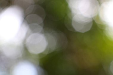 Bulanık ışık ile yumuşak yeşil bokeh, soyut arkaplan için ideal