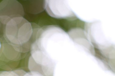 Yeşil ve parlak beyaz renkli soyut bir bokeh, rüya gibi bir resim.