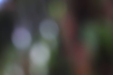 Rüya çevresi bulanık arkaplan Bokeh yumuşak odak ve doğal renklerle