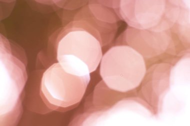 Yayılmış altın gül ışığı rüya gibi yumuşak bir bokeh etkisi yaratır.