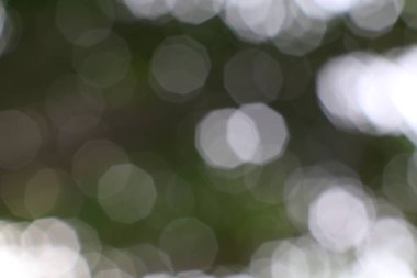 Bulanık bokeh çemberleri yumuşak bir rüya etkisi ve zarif bir dekorasyon verir.