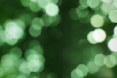 Zümrüt yeşili rüya gibi soyut bokeh, yumuşak bir ışık dairesi dokusu.