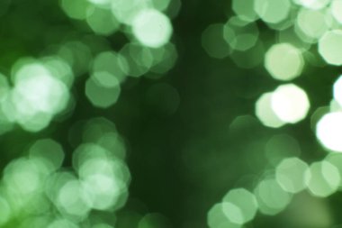 Koyu bir arka planda dans eden rüya gibi yeşil Bokeh ışıkları.