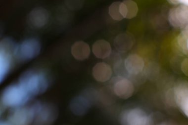 Ruhsal sekizgen bokeh, rüya gibi yumuşak dokular arasında gizemli bir doğa sahnesini çağrıştırıyor.