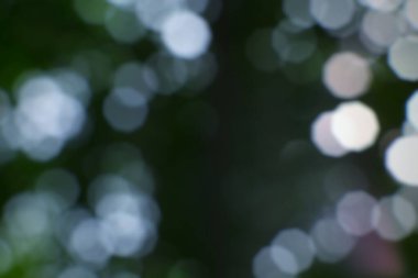 İlahi bokeh çemberleri rüya gibi, yumuşak ve soyut bir ışık oyunu yaratır.