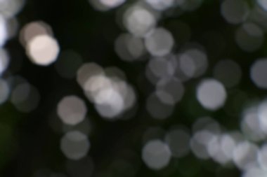 Karanlık bir arka planı olan odaksız bokeh ışıkları yumuşak ve rüya gibi bir etki yaratıyor.