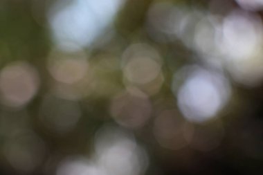 Hafifçe aydınlatılmış küreler soyut puslu ve ruhani bir ortam ortamı yaratır