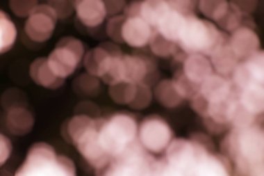 Rüyalarımın gülü arka plan. Işıklı bulanık ışıklar, harika örtülü efekt.