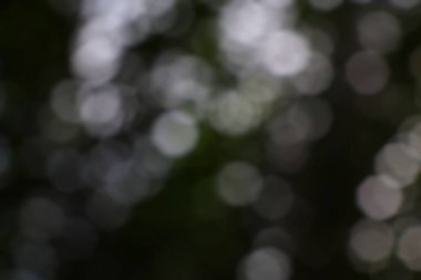 Nazik Bokeh ışığının soyut bir bileşimi yumuşak bir ruhani zemin oluşturuyor.