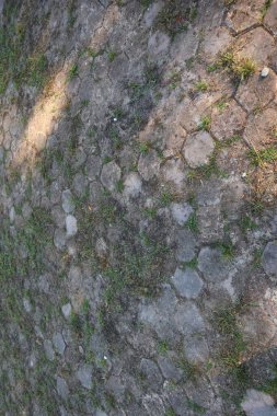 Birbirlerine kenetlenmiş beton kaldırım blokları, tek tük çimen büyümesi, aşınma ve doku göstergesi, yumuşak gölgeler.