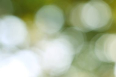 Bulanık Yeşil ve Beyaz Renkler Doğa Kavramları İçin Soyut Arkaplan