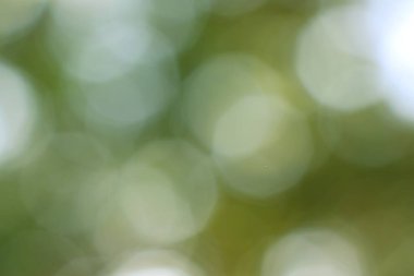 İzlenimci yeşillik bokeh, soyut ve sakin bir doğa arka planı, rüya gibi ışık ve yumuşak, odağından çıkmış daireler.