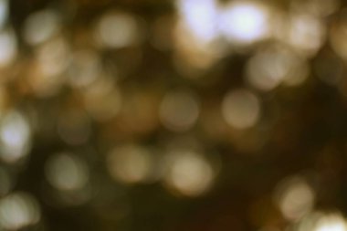 Yumuşak, rüya gibi bir sonbahar sahnesinin yer aldığı ruhani bir bokeh arka plan. Ilık ışıltılar ve bulanık daireler.