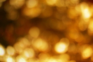 Ephemeral ışık küreleri sonbahar renklerinin ahenkli bir harmanında dans eder.