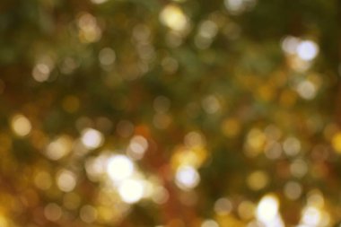 Soyut sonbahar tepe örtüsü, bulanık, yumuşak, altın ve yeşil bokeh ışıkları dokulu bir etki yaratır