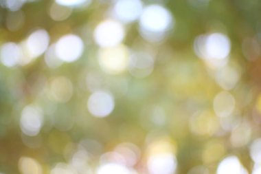 Rüya gibi ve ruhani ışık rahatlatıcı, çok yönlü, odak dışı doğal bir zemin yaratır..