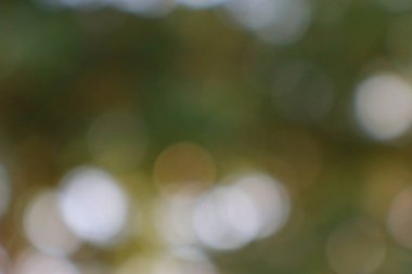 Bulanık ışığın yumuşak odak görüntüsü yeşil ve sarı arka planda canlı bir bokeh etkisi yaratıyor. Huzurlu ve soyut doğa sahnesi.