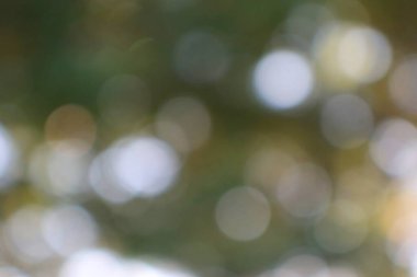 Yumuşak odak doğa sahnesi atmosferik ışık bokeh ile bulanık yeşil ve kahverengi yeşillik, sakin ve rüya gibi soyut bir arka plan dokusu oluşturur.